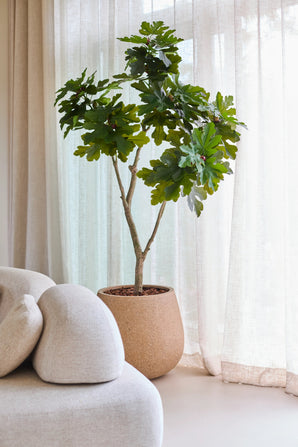 Een kunstplant Ficus Carica-vijgenboom van 180 cm, met levendig groene bladeren, staat bij een raam met witte, doorschijnende gordijnen, naast een lichtbeige, moderne, gebogen bank.