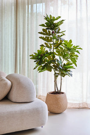 Een Kunstplant Ficus Carica Vijgenboom van 150 cm staat naast een moderne beige bank, met op de achtergrond doorschijnende gordijnen en zacht natuurlijk licht.