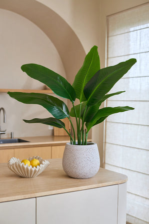 Kunstpflanze Strelitzia Real Touch Deluxe 90 cm