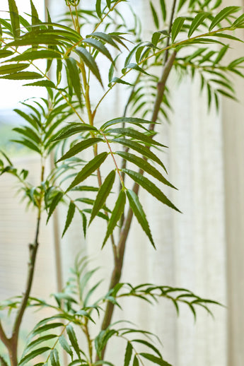 Een close-up van de Kunstplant Mahonia 150 cm, waarbij de slanke, puntige groene bladeren goed tot hun recht komen tegen een zacht verlichte achtergrond met doorschijnende gordijnen.