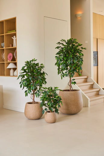 Drie kamerplanten in potten van verschillende afmetingen, waaronder de Kunstplant Ficus Groen 90 cm, staan opgesteld op een lichtgekleurde vloer bij een trap, met houten planken en woonaccessoires op de achtergrond – een ideale opstelling van kantoorplanten voor elke moderne werkruimte.