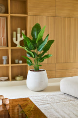 Eine große Kunstpflanze Strelitzia Real Touch Deluxe von 150 cm in einem weißen Pflanzgefäß steht auf einem hellen Boden in einem modernen Wohnzimmer mit Holzvertäfelung, Regalen und einem Dekor in neutralen Farbtönen und verleiht diesem raffinierten Raum ein elegantes, lebensechtes Aussehen.