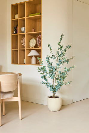 Een minimalistische kamer met lichte houten meubels, een Kunstplant Eucalyptus van 150 cm op de vloer en een open houten wandplank waarop serviesgoed en een lamp staan uitgestald. Neutrale kleuren en strakke lijnen zorgen voor een rustige, luchtige sfeer.