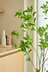 Eine 150 cm große Kunstpflanze Pieris Japonica steht an einem Fenster neben einem hellen Holzschrank, der Keramikflaschen und eine Pfeffermühle enthält und dem hellen, luftigen Raum eine minimalistische Note verleiht.