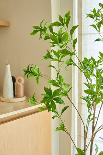 Eine 150 cm große Kunstpflanze Pieris Japonica steht an einem Fenster neben einem hellen Holzschrank, der Keramikflaschen und eine Pfeffermühle enthält und dem hellen, luftigen Raum eine minimalistische Note verleiht.