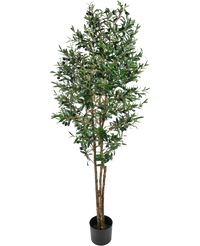 Künstlicher Olivenbaum 180 cm UV