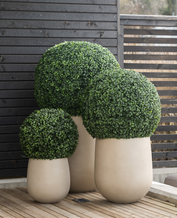 Drie Kunstplant Buxus romeinse stijl UV D65cm plantenbakken met netjes gesnoeide groene struiken staan op een houten terras naast een modern donkerhouten privacyscherm.
