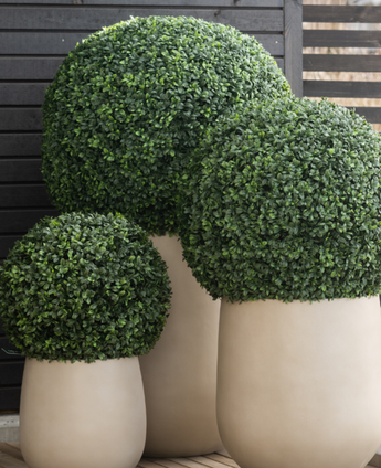 Drie grote Kunstplant Buxus romeinse stijl UV D65cm potten tonen netjes gesnoeide, bolvormige groene vormsnoei tegen een achtergrond van donkere houten latten op een houten vloer.