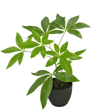 Een Kunst Pachira kunstplant van 30 cm met glanzend groene palmbladeren staat in een ronde zwarte plantenbak tegen een effen witte achtergrond.