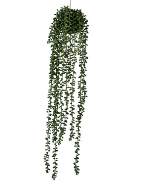 De Kunst hangplant Senecio bal 71 cm heeft lange, slingerende groene ranken met kleine ronde blaadjes, opgehangen aan een zichtbaar koord tegen een witte achtergrond.