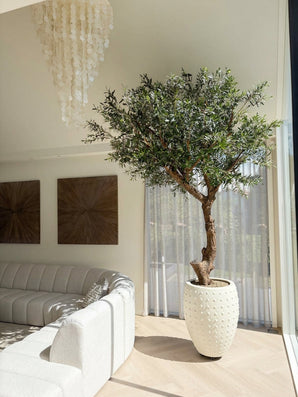 Ein künstlicher Olivenbaum ohne Oliven mit einer Größe von 270 cm steht neben einem großen Fenster in einem hellen, modernen Wohnzimmer mit einem weißen, geschwungenen Sofa, zwei Kunstwerken an der Wand, Gardinen und einem dekorativen Kronleuchter. Dieser pflegeleichte Akzent sorgt für üppiges Grün ohne den Aufwand der täglichen Pflege.