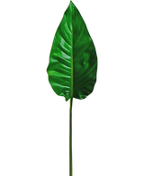 Ein einzelnes künstliches Blatt Alocasia, 76 cm, künstliches Blatt, leuchtend grün mit markanten Adern und einer glatten Oberfläche, befestigt an einem langen, dünnen Stiel, vor einem schlichten weißen Hintergrund.