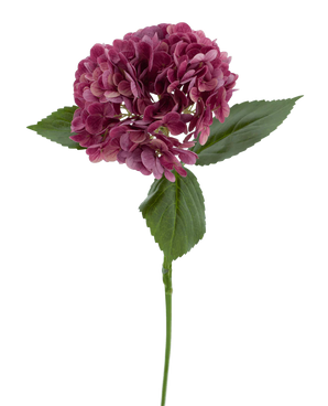 De Kunstbloem Charlotte Hortensia Real Touch paars 55 cm heeft een enkele steel van een paarse hortensia met meerdere kleine bloemblaadjes en groene bladeren, tegen een effen witte achtergrond.