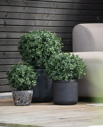 Drie Kunst Buxus op stam UV 40 cm ronde, weelderig groene potplanten staan op een houten vlonder naast een lichtgrijze buitenbank, met een donkere houten muur op de achtergrond.