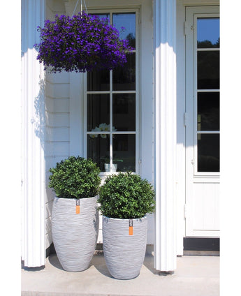 Twee Kunst Buxus op stam UV 40 cm ronde, gestructureerde grijze plantenbakken met groene struiken staan op een veranda voor een raam en deur. Daarboven siert een hanging basket met kleine paarse bloemen het witte huis met zuilen.