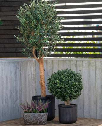 Een hoge Kunstplant Buxus op stam romeinse stijl UV 65cm staat met twee andere potplanten - een ronde struik in een zwarte pot en paarse heide in een kleine stenen pot - op een patio bij een betonnen muur en een schutting van houten latten.