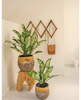 Twee Kunstplant Dieffenbachia UV 75 cm met bonte bladeren zitten in gele en stenen sierpotten - een op een houten krukje, een op de vloer. Achter hen hangt een bruine leren tas aan een houten accordeon wandrek in deze lichte, minimalistische ruimte.