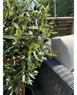 De Kunst olijfboom UV 120 cm met groene bladeren en zwarte olijven staat naast een grijze rieten buitenbank op een zonnig terras met houten balustrade.