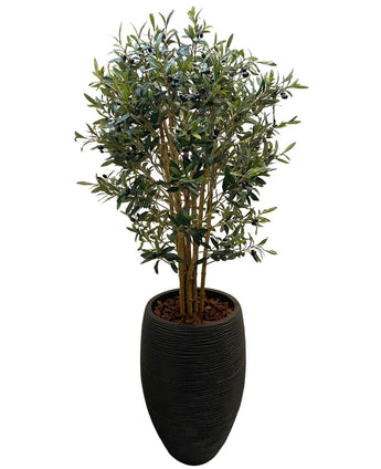 De Kunst olijfboom UV 120 cm heeft groene bladeren, kleine donkere olijven en staat in een hoge zwarte plantenbak met bruine sierstenen. Onderhoudsarm en perfect tegen een witte achtergrond.
