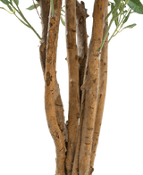 Close-up van een aantal bruine stammen met ruwe schors en een paar groene bladeren tegen een effen witte achtergrond, met de Kunst olijfboom UV 120 cm: een onderhoudsarme, UV-bestendige kunstplant voor duurzame schoonheid binnen of buiten.