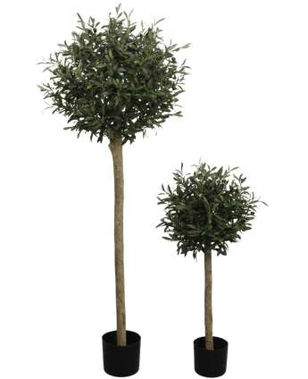 De Kunst olijfboom UV 150 cm is een kunstolijfboom in pot met een ronde, bladgroene top en een lange, dunne stam. UV-bestendig en gepresenteerd in een zwarte pot, steekt hij af tegen een effen witte achtergrond.