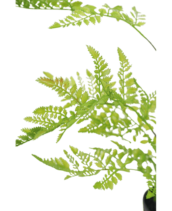 Künstliche Farnpflanze 85 cm