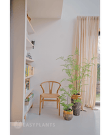 Künstliche Farnpflanze 85 cm