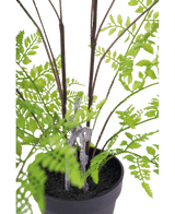 Künstliche Farnpflanze 85 cm