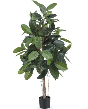 Künstliche Gummipflanze 150 cm