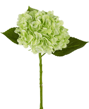 Künstliche Hortensie "Annabelle" Real Touch Grün 55cm