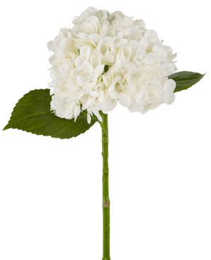 Künstliche Hortensie "Annabelle" Real Touch Weiß 55cm