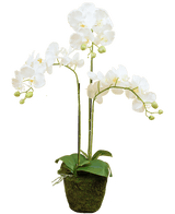 Künstliche Orchidee 118 cm weiß im Topf