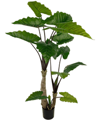 Künstliche Pflanze Alocasia 180 cm