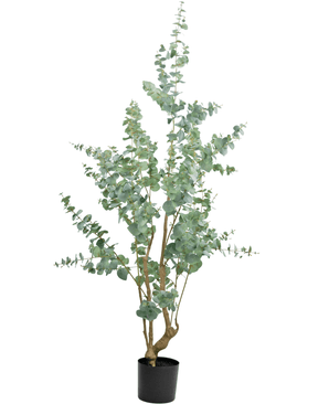Künstliche Pflanze Eukalyptus 180 cm