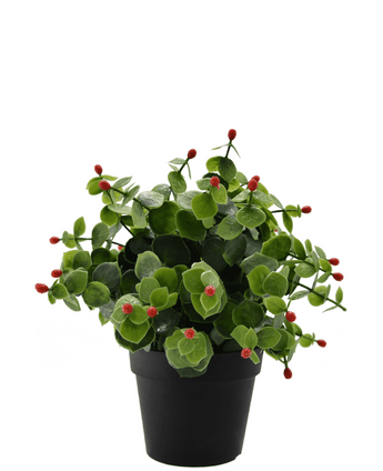 Künstliche Pflanze Eukalyptus rot im Topf 22 cm UV