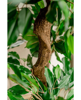 Künstliche Pflanze Ficus Crazy 120 cm