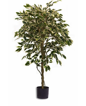 Künstliche Pflanze Ficus Fur 150 cm