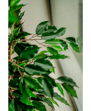 Künstliche Pflanze Ficus Grün 120 cm