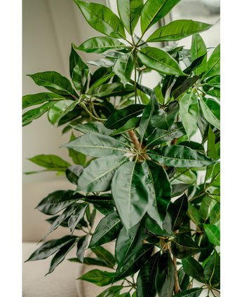 Künstliche Pflanze Schefflera 150 cm
