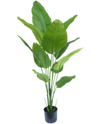 Künstliche Pflanze Strelitzia 150 cm real touch