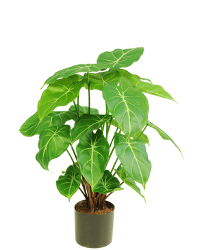 Künstliche Pflanze Syngonium 58 cm