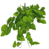 Künstlicher Pothos Busch Deluxe 90cm