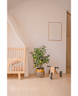 Künstlicher Zitronenbaum 90 cm