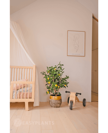 Künstlicher Zitronenbaum 90 cm