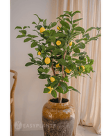 Künstlicher Zitronenbaum 90 cm
