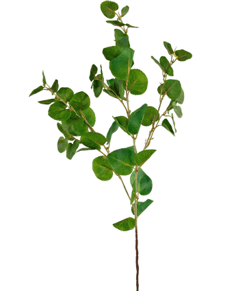 Künstlicher Zweig Eukalyptus Classic 70 cm grün