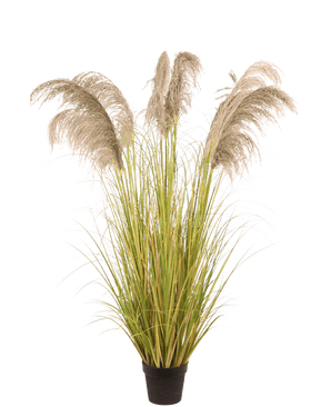 Künstliches Pampasgras 170 cm feuerhemmend