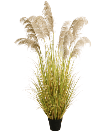 Künstliches Pampasgras 200 cm feuerhemmend
