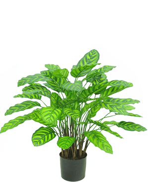 Kunstpflanze Calathea Makoyana Deluxe 75 cm