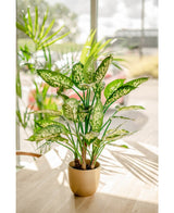 Kunstpflanze Dieffenbachia 75 cm